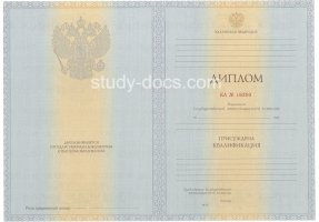 Диплом специалиста 2012-2013 в Новочебоксарске